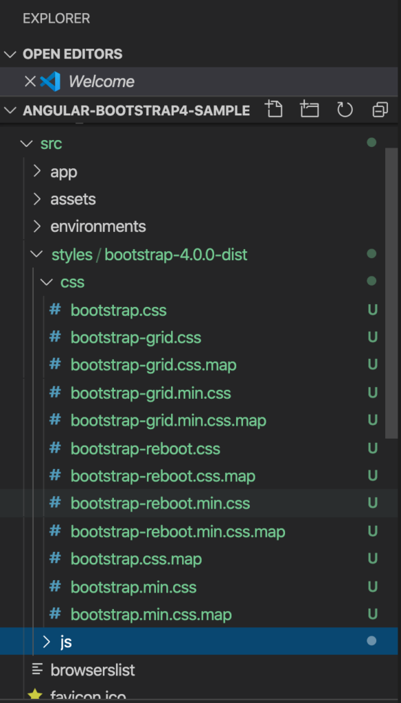 Install Bootstap in Angular using local css
